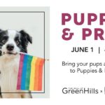 Puppies-Pride-Pet-Fest