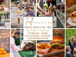 Fall-Fest-Petting-Zoo
