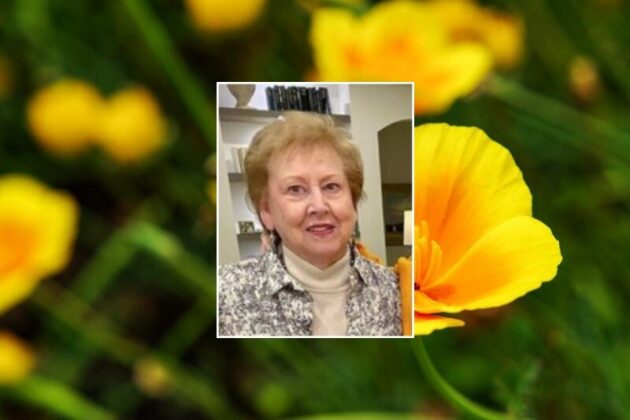 OBITUARY: Brenda Sue Howell Baldock - Davidson County Source