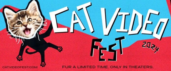 cat video fest at belcourt