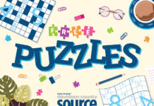 Free Puzzle Center Davidson County Source