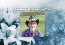James Anthony Stellini Obit
