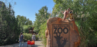 Nashville Zoo Adds Seven New Board Members