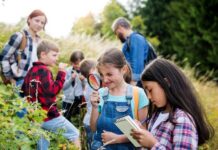 Which educational and creativity apps are worth adding to your summer routine