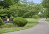 Metro Parks Commemorates National Park & Recreation Month in July with Special Events