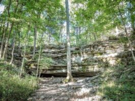 caving adventure in jackson cave