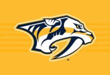 Predators Acquire Nils Hoglander From Vancouver Photo from Nashville Predators